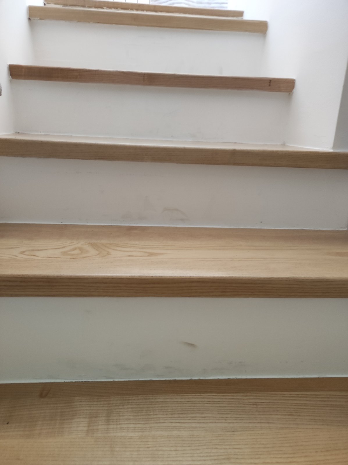 Thumbnail [100%x225]